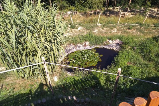 Gyökérzónás tisztító